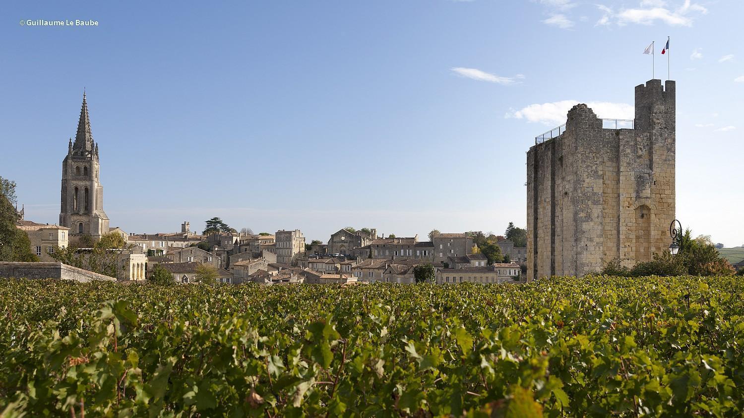 Le Repaire Lagardere Bed & Breakfast Lussac  Bagian luar foto