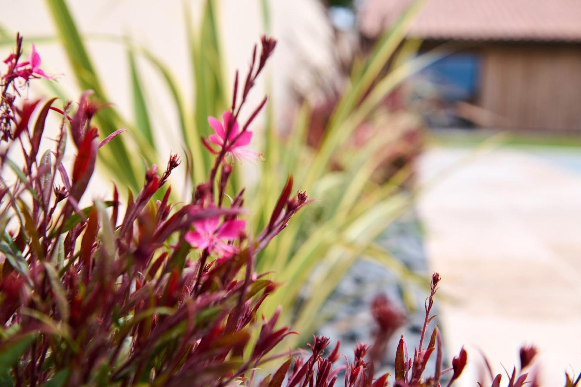 Le Repaire Lagardere Bed & Breakfast Lussac  Bagian luar foto